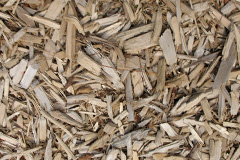 biomass boilers Thicket Mead